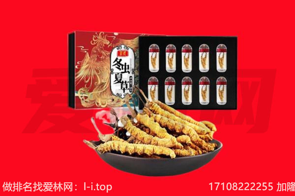 滨州回收虫草.jpg